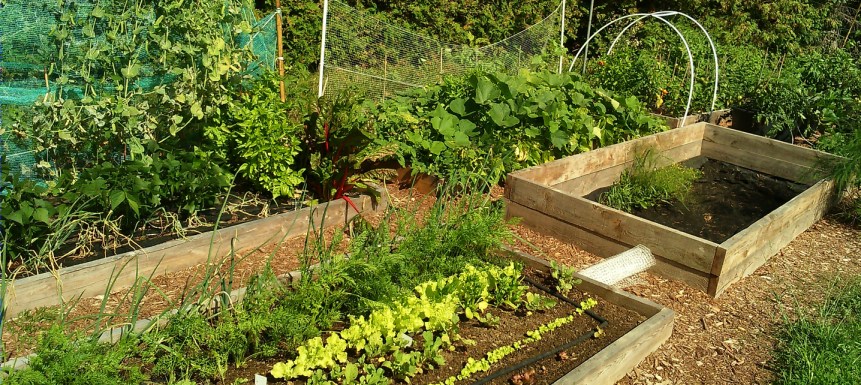 Single and double height raised beds